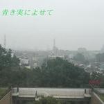 青き実によせて(アポロ)